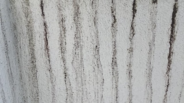 気になる外壁の汚れ（黒ずみ、雨筋など）