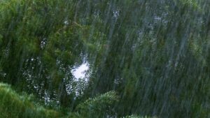 台風前に要チェック！外壁・屋根の見落としがちなポイントとは？