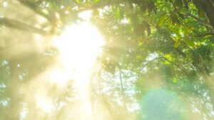 夏の紫外線で外壁が劣化！？日差しによるダメージとその対策