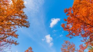 秋の外壁塗装がベストな理由とは？ プロが教える“塗装に最適な季節”の真実