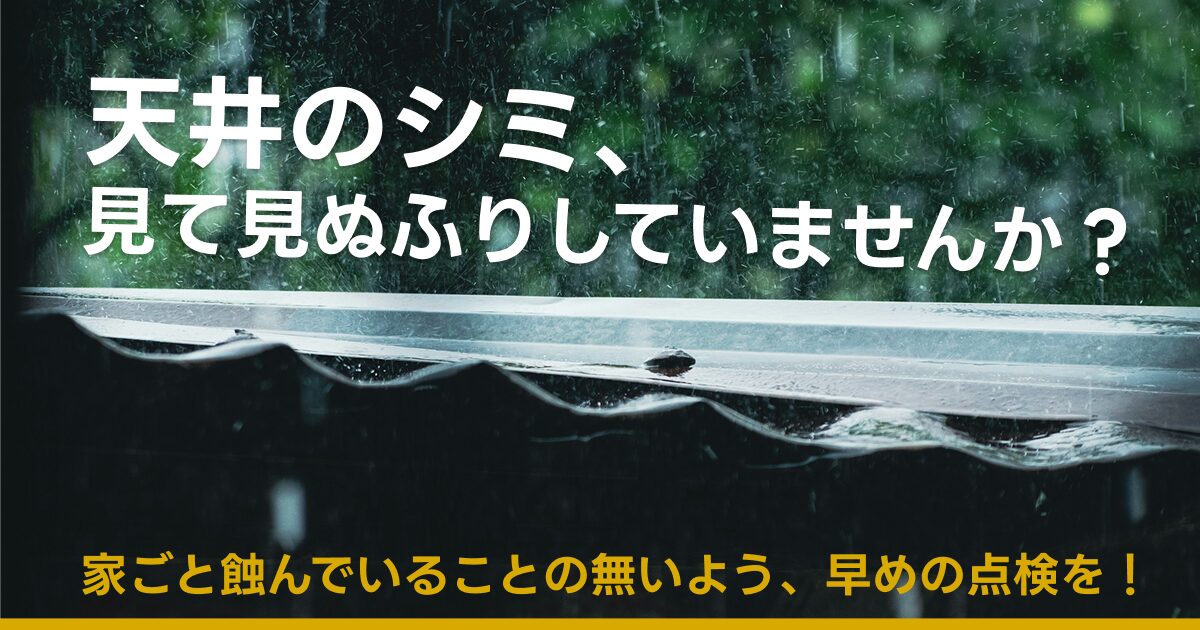 yokohama-leak.png